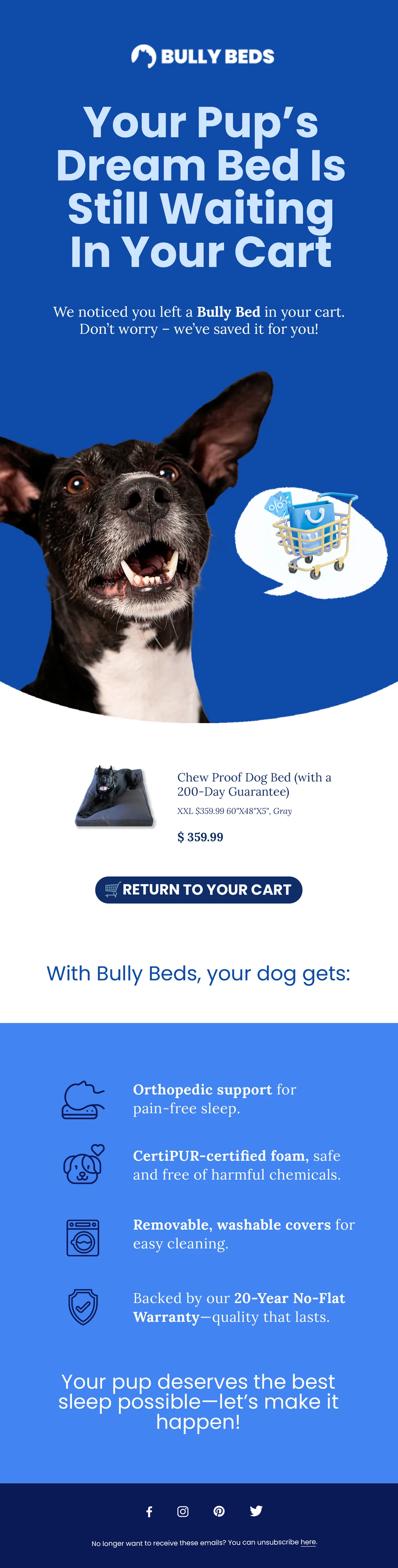 Bully Beds cart abandonment flow