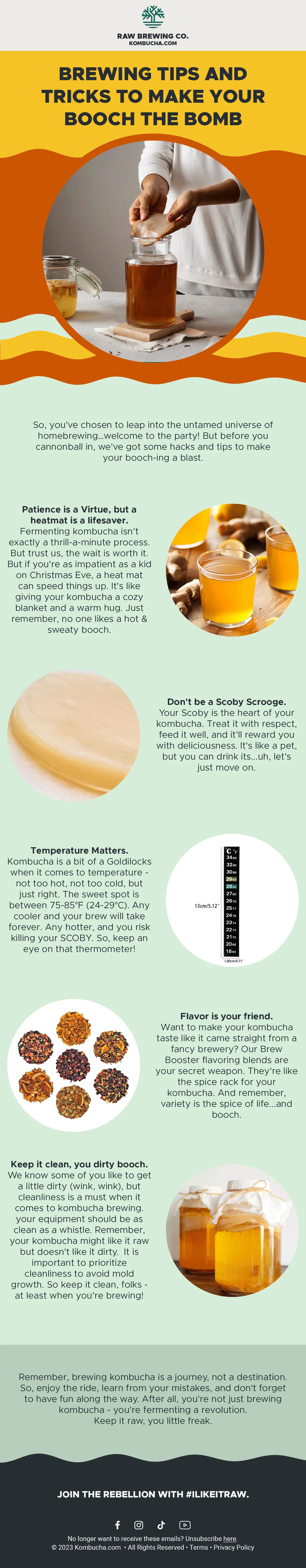 Kombucha.com educational email — home brewing tips