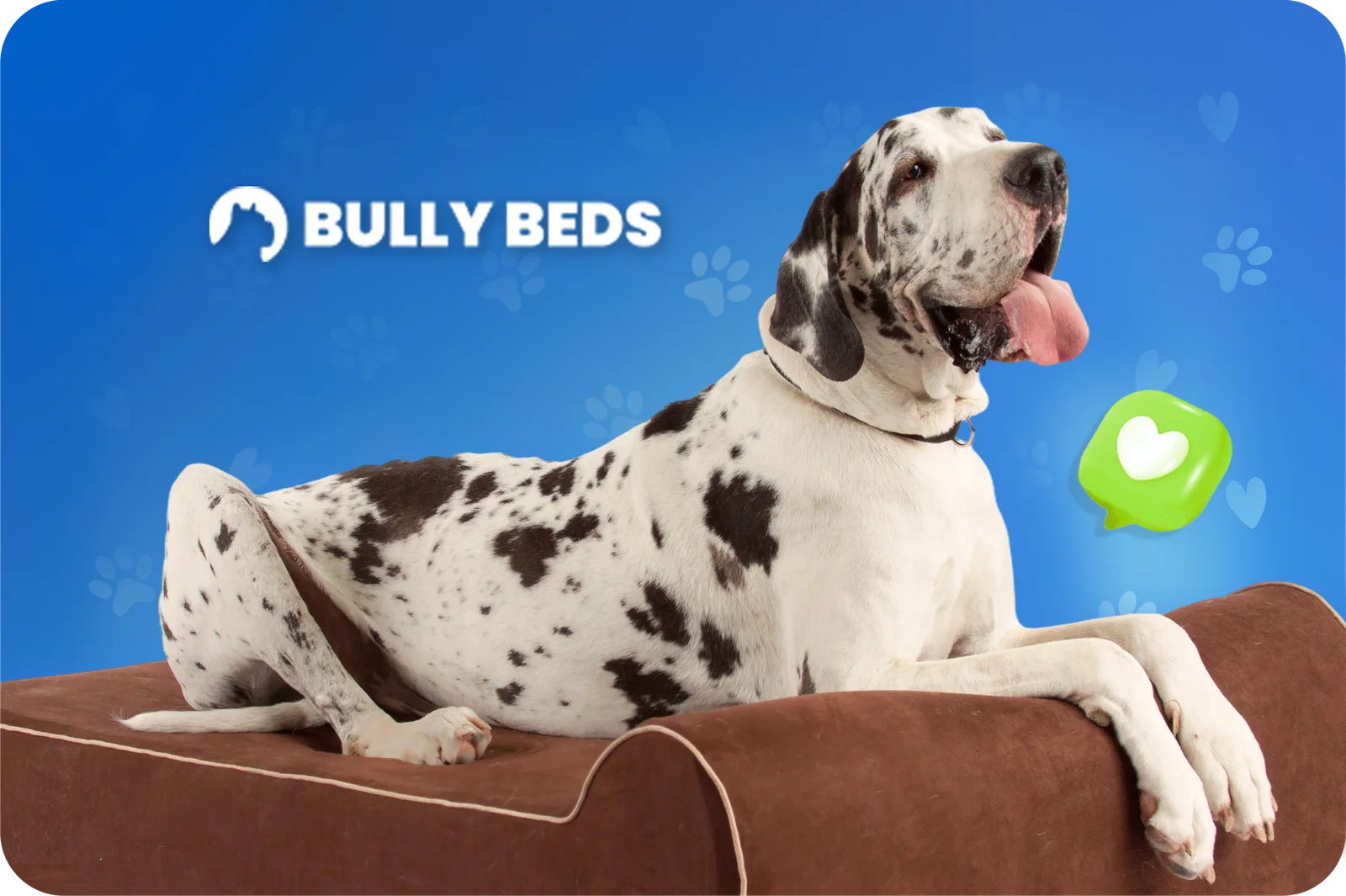 Bully Beds case study