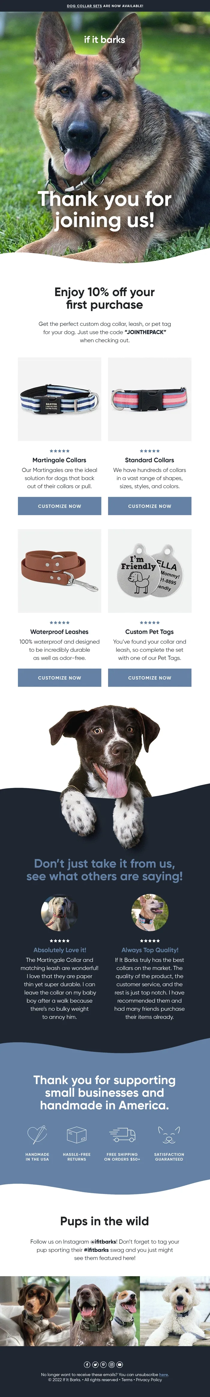 Welcome email design 16